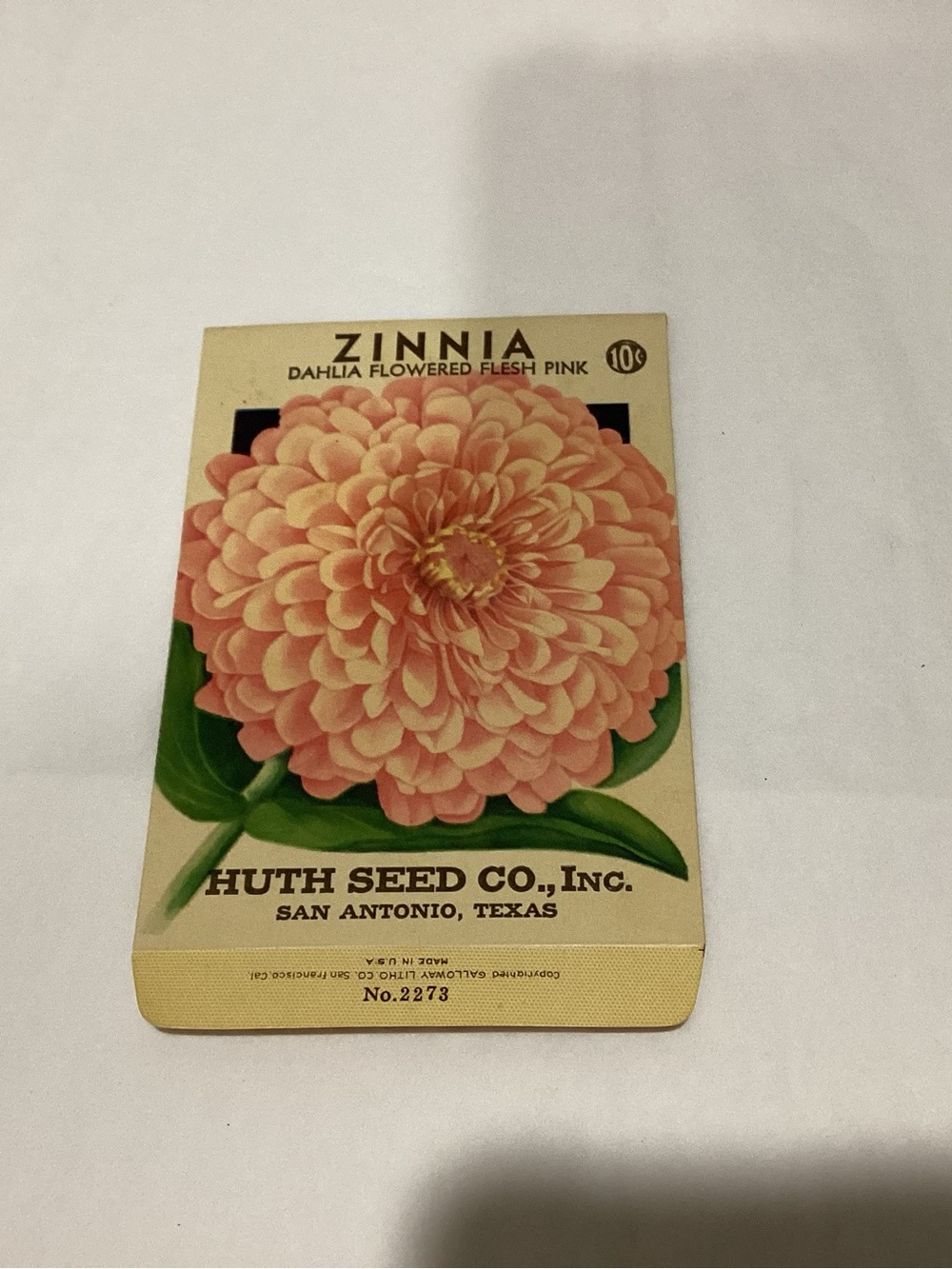 Antique ZINNIA Dahlia Flowered Flesh Pink, HUTH SEED Co. INC. San Antonio,TX